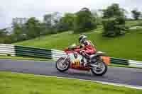 cadwell-no-limits-trackday;cadwell-park;cadwell-park-photographs;cadwell-trackday-photographs;enduro-digital-images;event-digital-images;eventdigitalimages;no-limits-trackdays;peter-wileman-photography;racing-digital-images;trackday-digital-images;trackday-photos